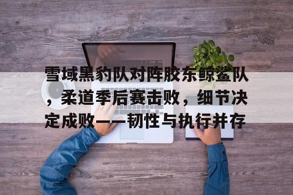 9体育-包含雪域黑豹队对阵胶东鲸鲨队,柔道季后赛击败,细节决定成败——韧性与执行并存的词条
