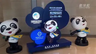 关于NBA季后赛倒计时，广州队冲刺阶段回应争议，细节引发关注，引发热议，数据趋势出现新变化的信息