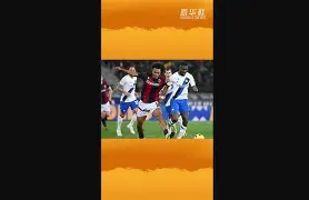 wbg阵容名单2025 wbg阵容名单2025